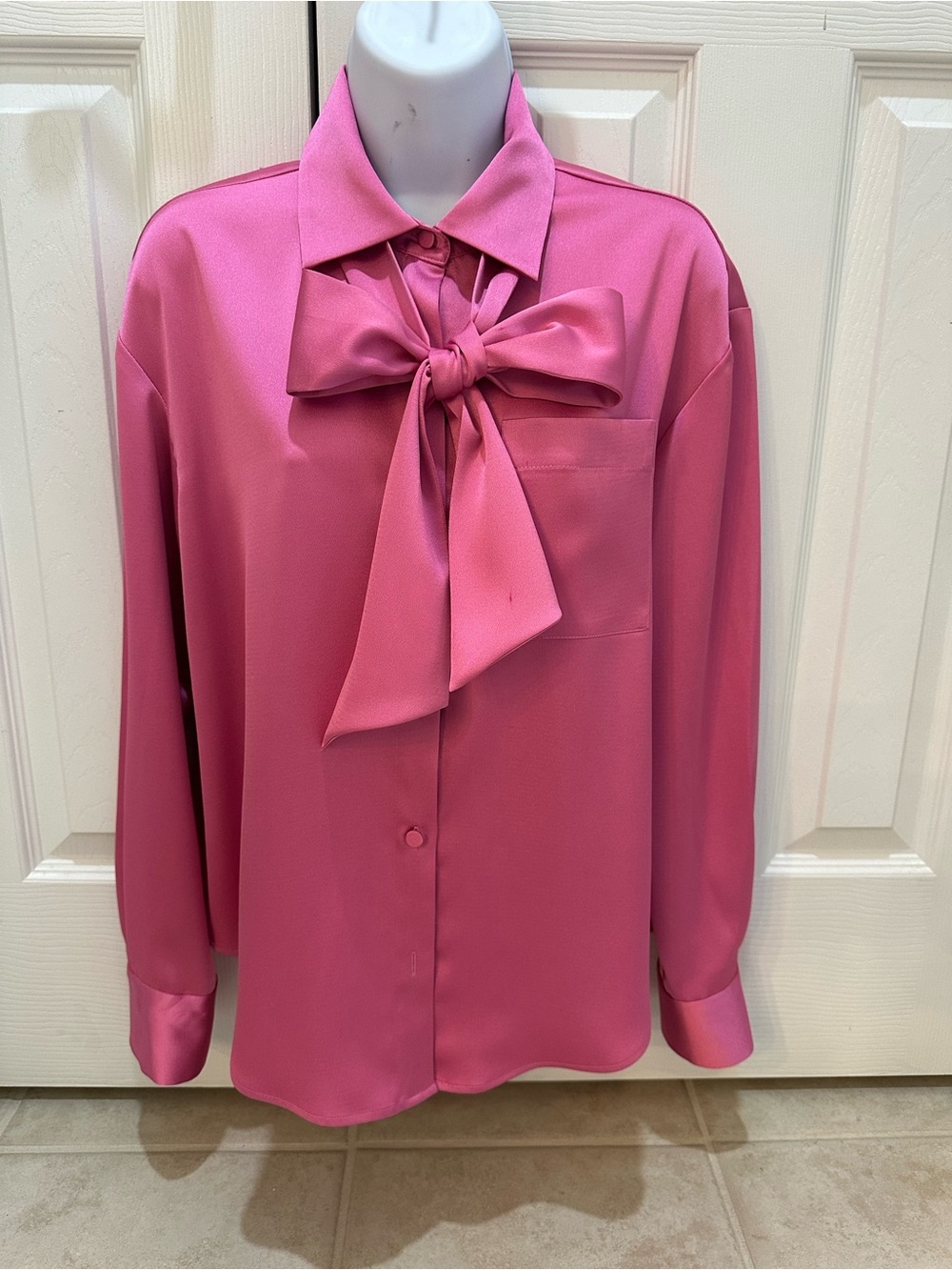 Gianni Bini Vibrant Pink Blouse with Neck Tie